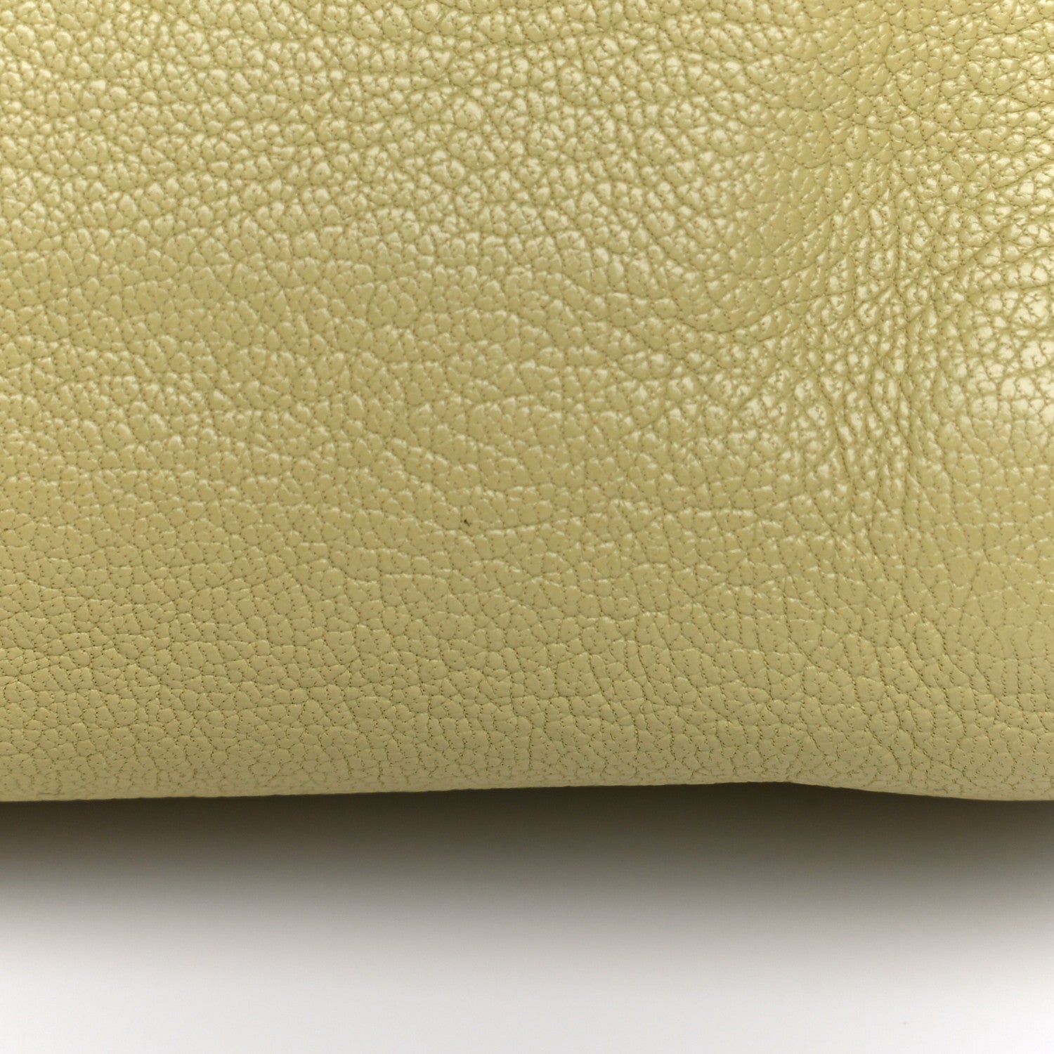 Mulberry Glossy Goatskin Small Lily Flap Pistachio 19 of 22