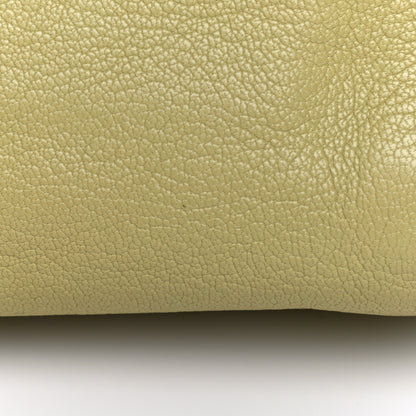 Mulberry Glossy Goatskin Small Lily Flap Pistachio 19 of 22