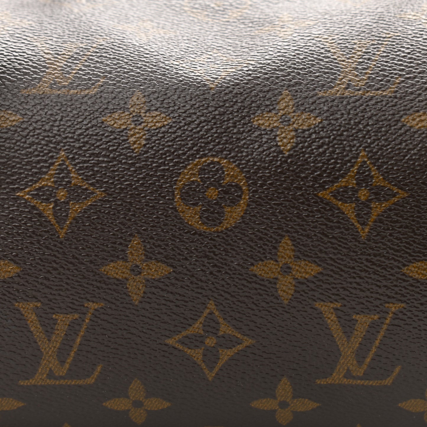 Monogram Papillon 26