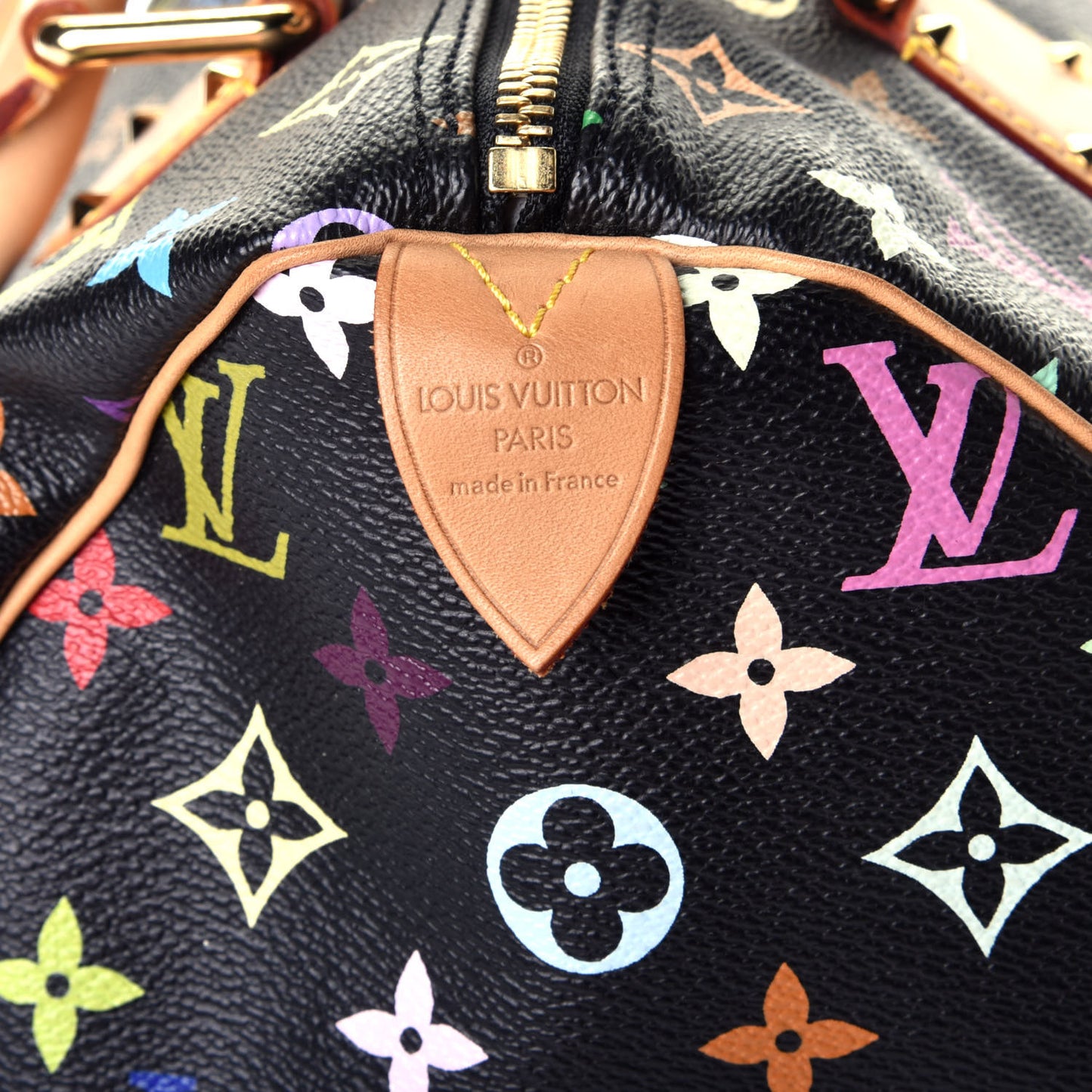 Monogram Multicolor Speedy 30 Black