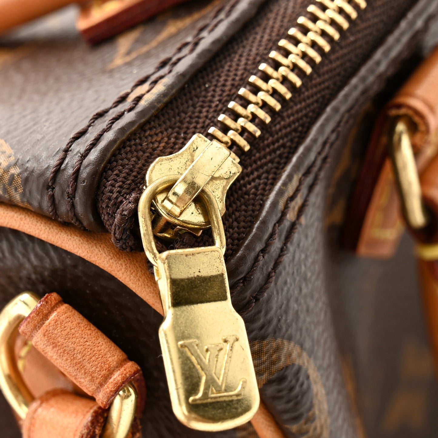 Monogram Nano Speedy