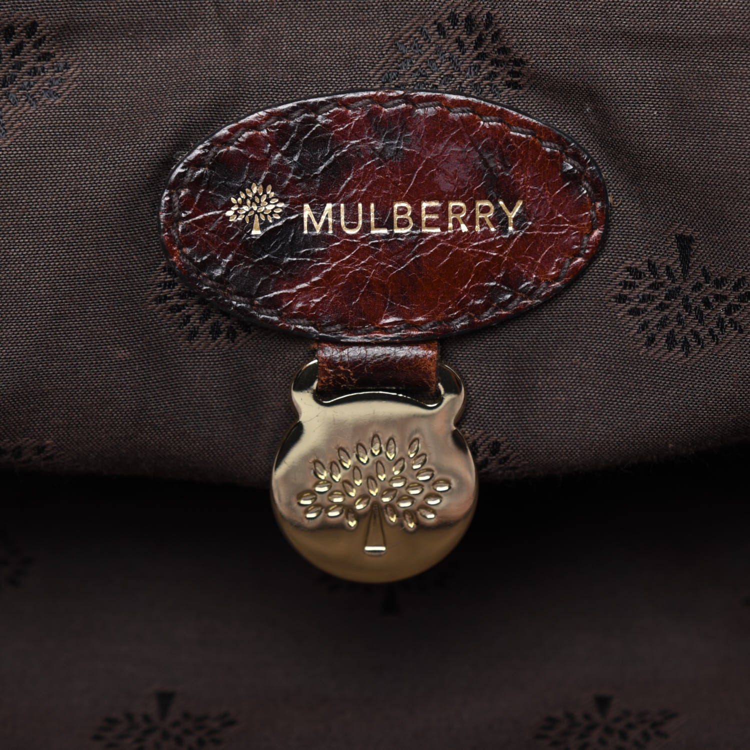 Mulberry Shiny Leopard Oversized Alexa Dark Oak 7 of 24