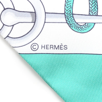 Hermes Twilly Scarf 3 of 4