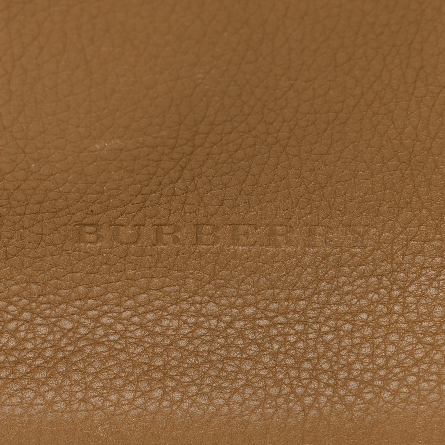 Grainy Calfskin Large Ashby Hobo Sand