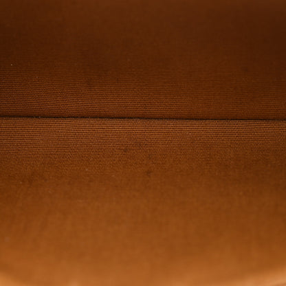 Celine Triomphe Calfskin Long Pouch With Strap Tan 5 of 9
