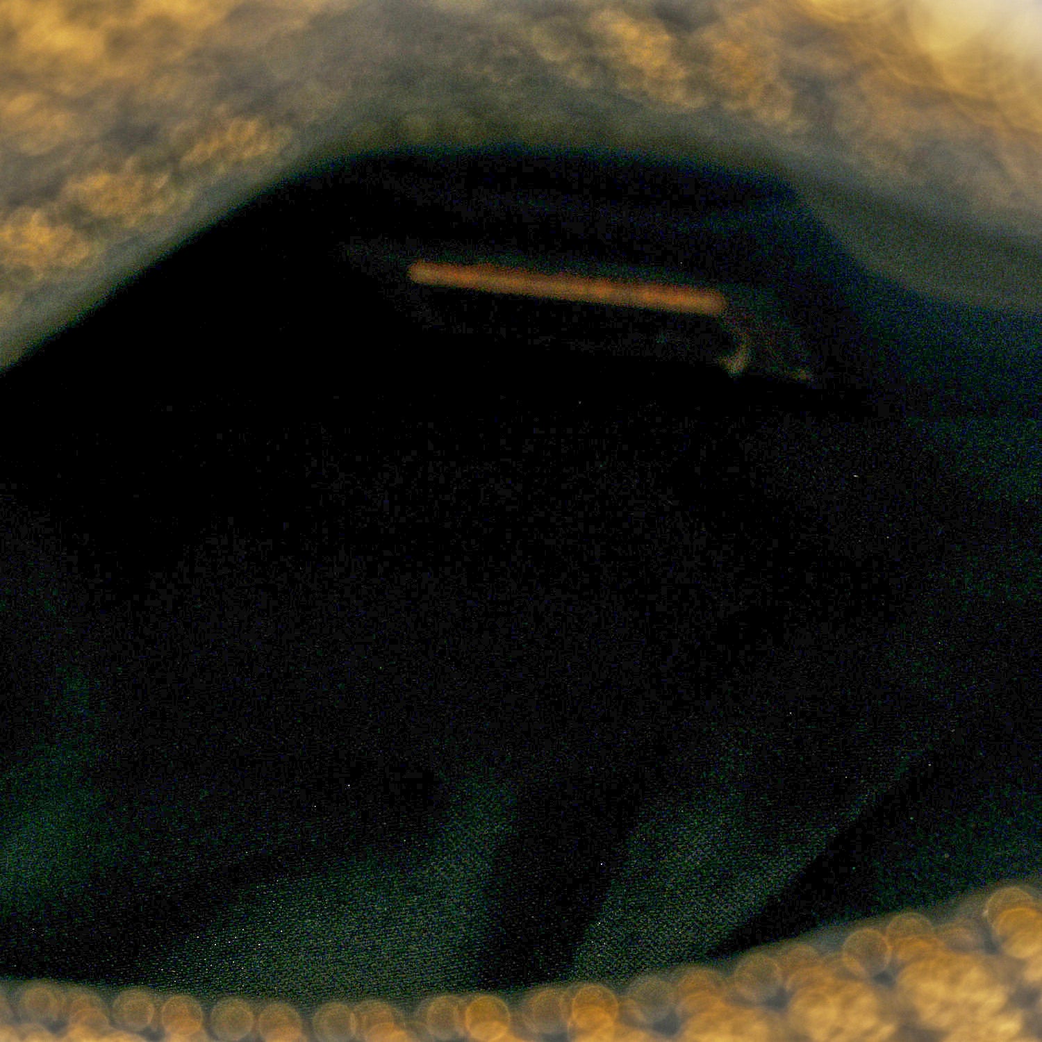Fendi Micro Zucchino Forever Mini Mama Baguette Black Gold 6 of 9