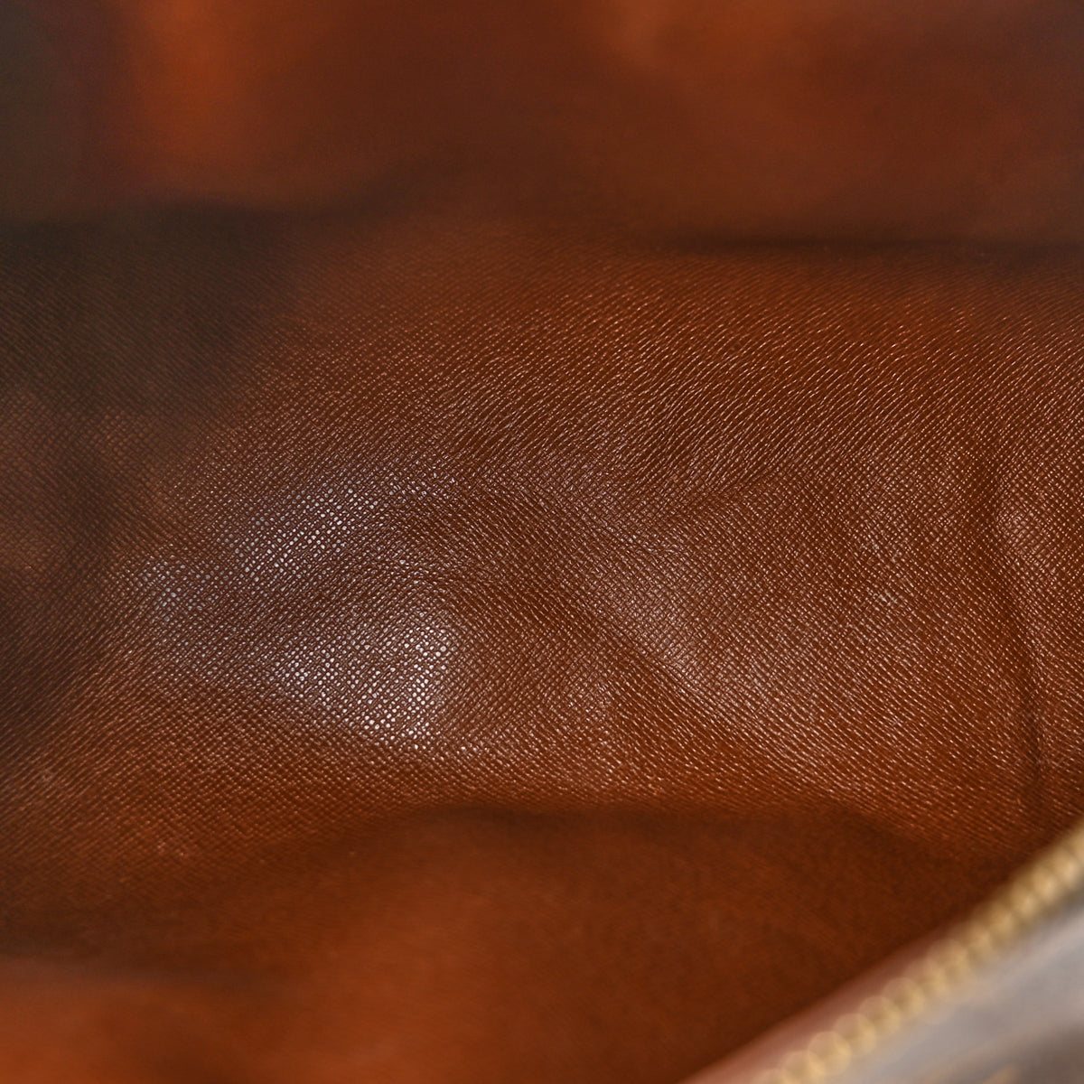 Monogram Papillon 26