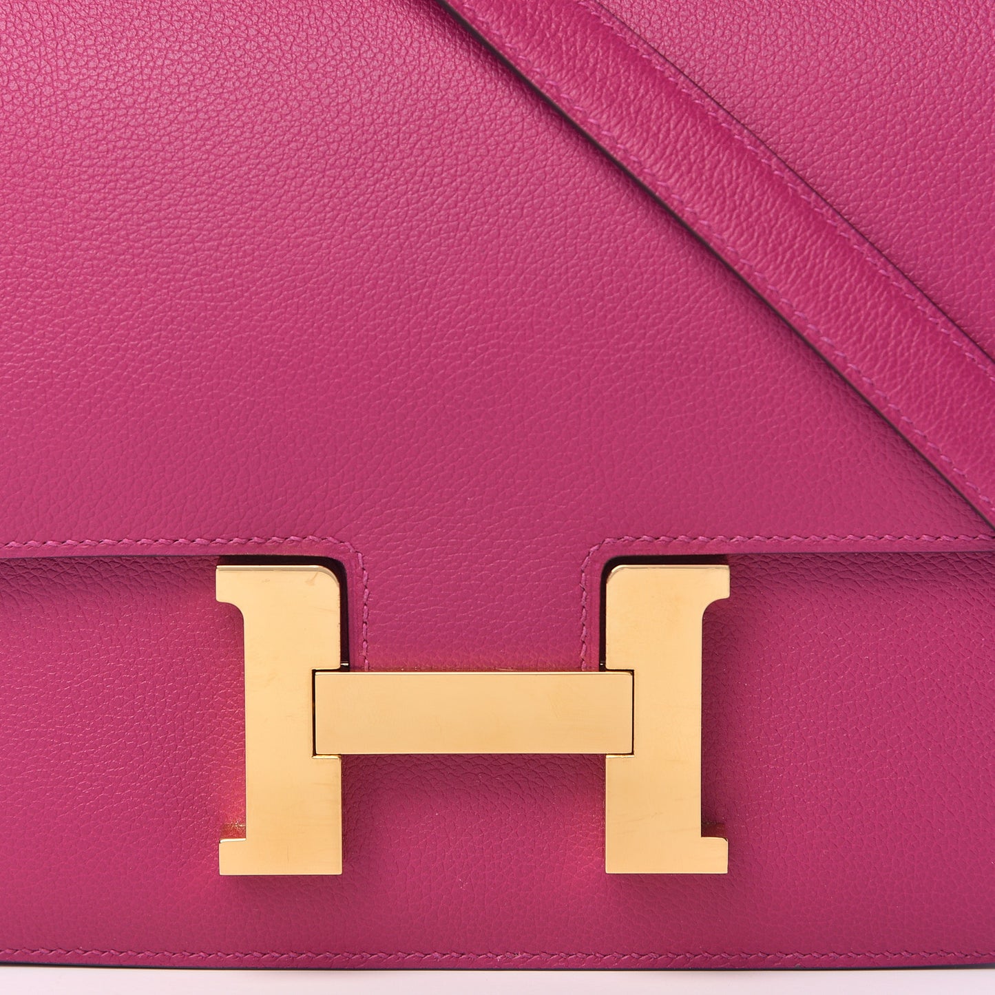 Evercolor Horseshoe Constance 24 Rose Pourpre Anemone