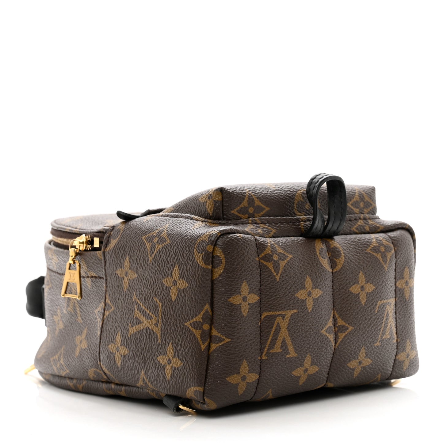 Monogram Palm Springs Backpack Mini