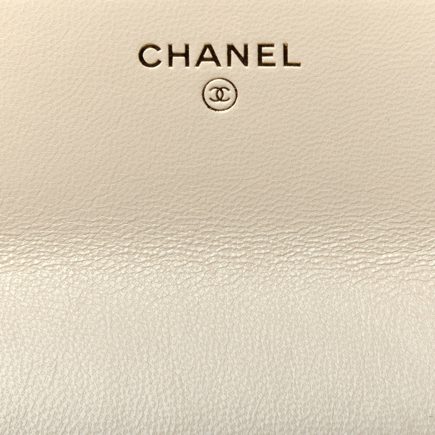 Goatskin Quilted Chanel 19 Wallet On Chain WOC Light Beige