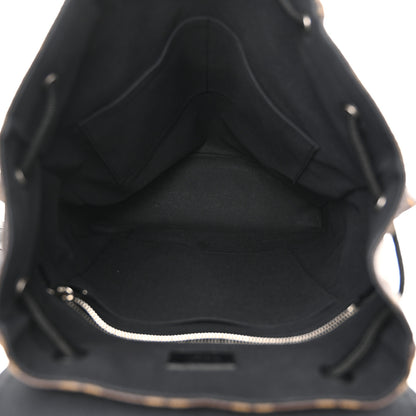 Louis Vuitton Monogram Macassar Christopher MM Backpack 5 of 10