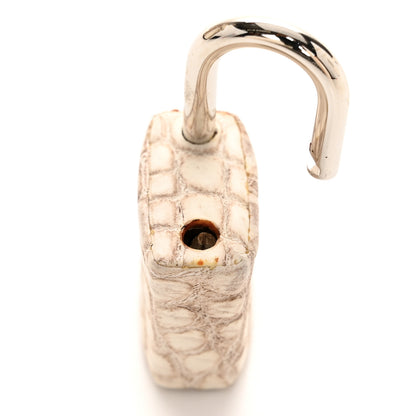 Hermes Matte Niloticus Crocodile Himalaya Birkin 30 Blanc 22 of 56