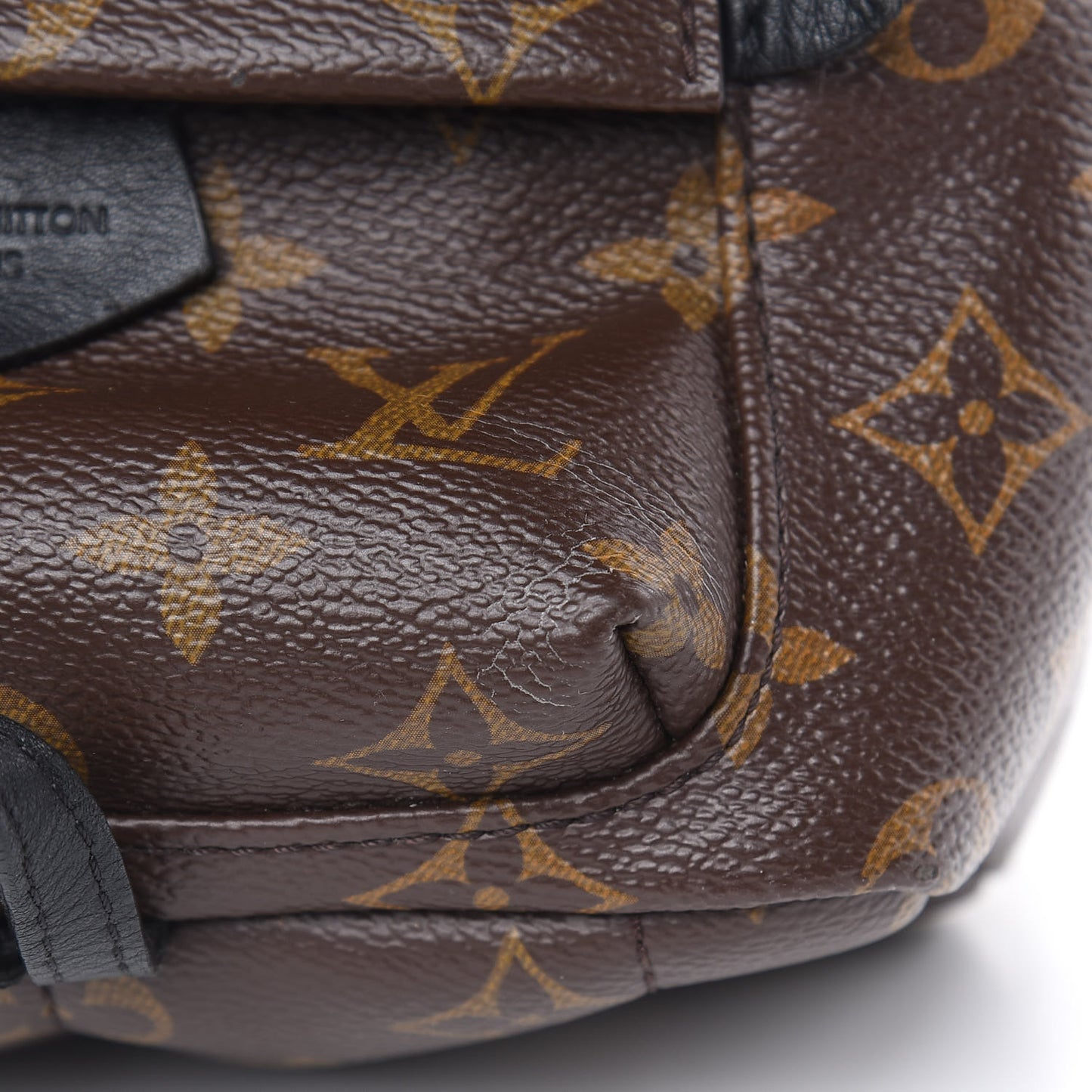 Monogram Palm Springs Backpack Mini