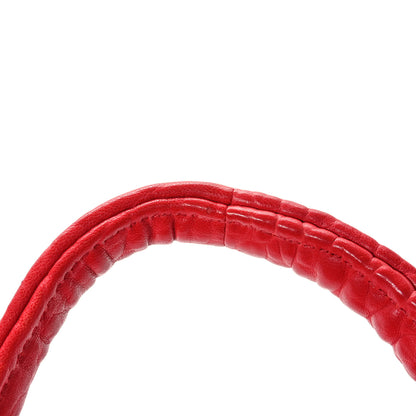 Alexander Wang Pebbled Lambskin Rockie Red Silver Hardware 12 of 12