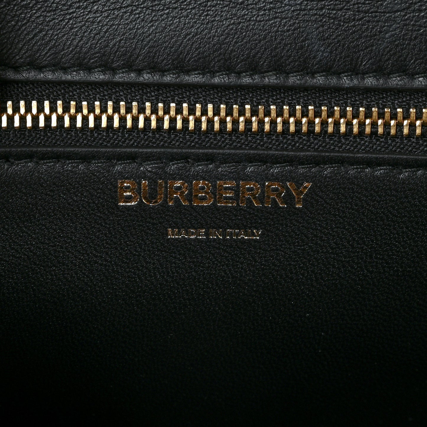 E-Canvas Monogram Stripe Small TB Bag Bridle Brown