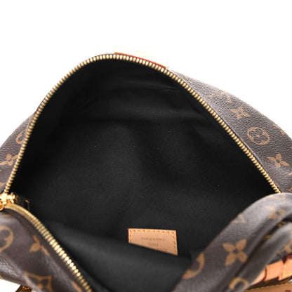 Louis Vuitton Monogram Bumbag 5 of 14