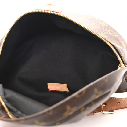 Louis Vuitton Monogram Bumbag 5 of 14