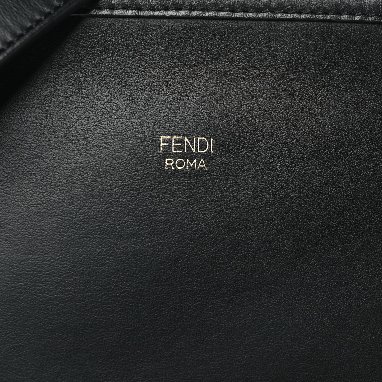 Vitello Century Opaco F is Fendi Camera Case Black