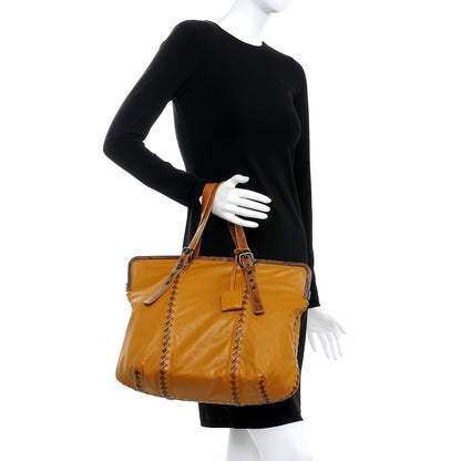 Bottega Veneta Nappa Lizard Intrecciato Frame Tote Resina 2 of 12