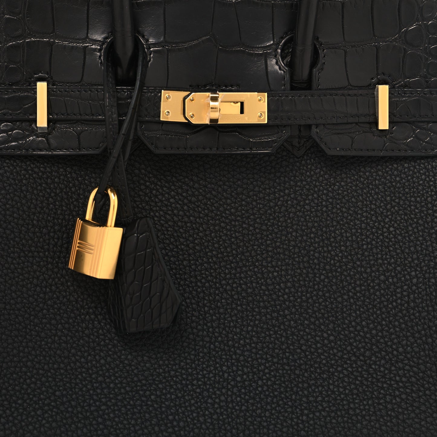 Togo Matte Alligator Birkin Touch 25 Black