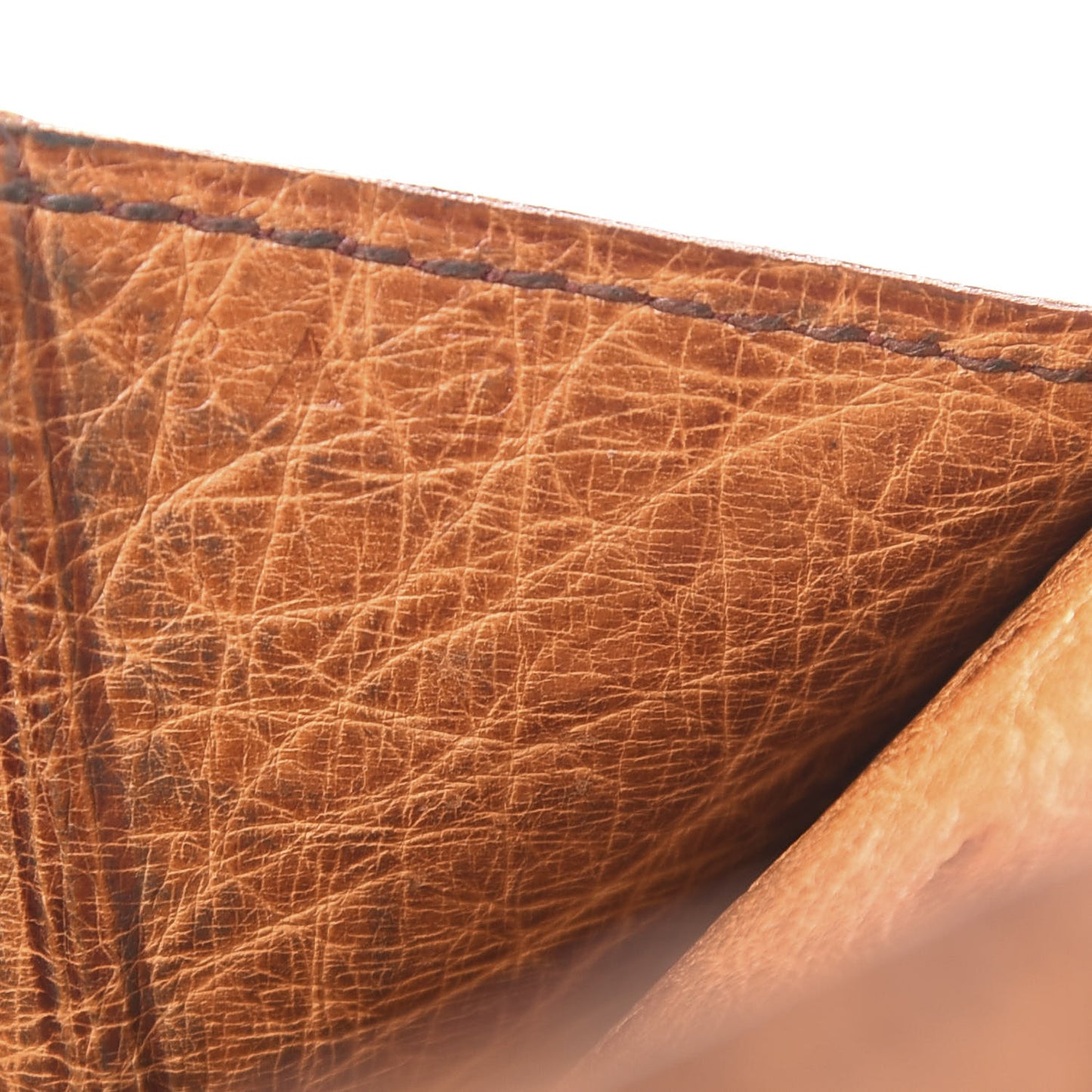 Ostrich Bearn Wallet Gold