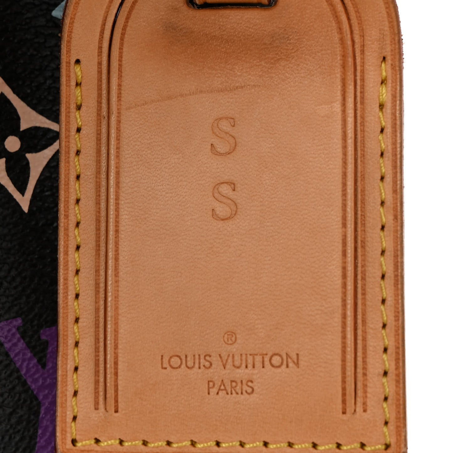 Monogram Multicolor Petit Noe Black