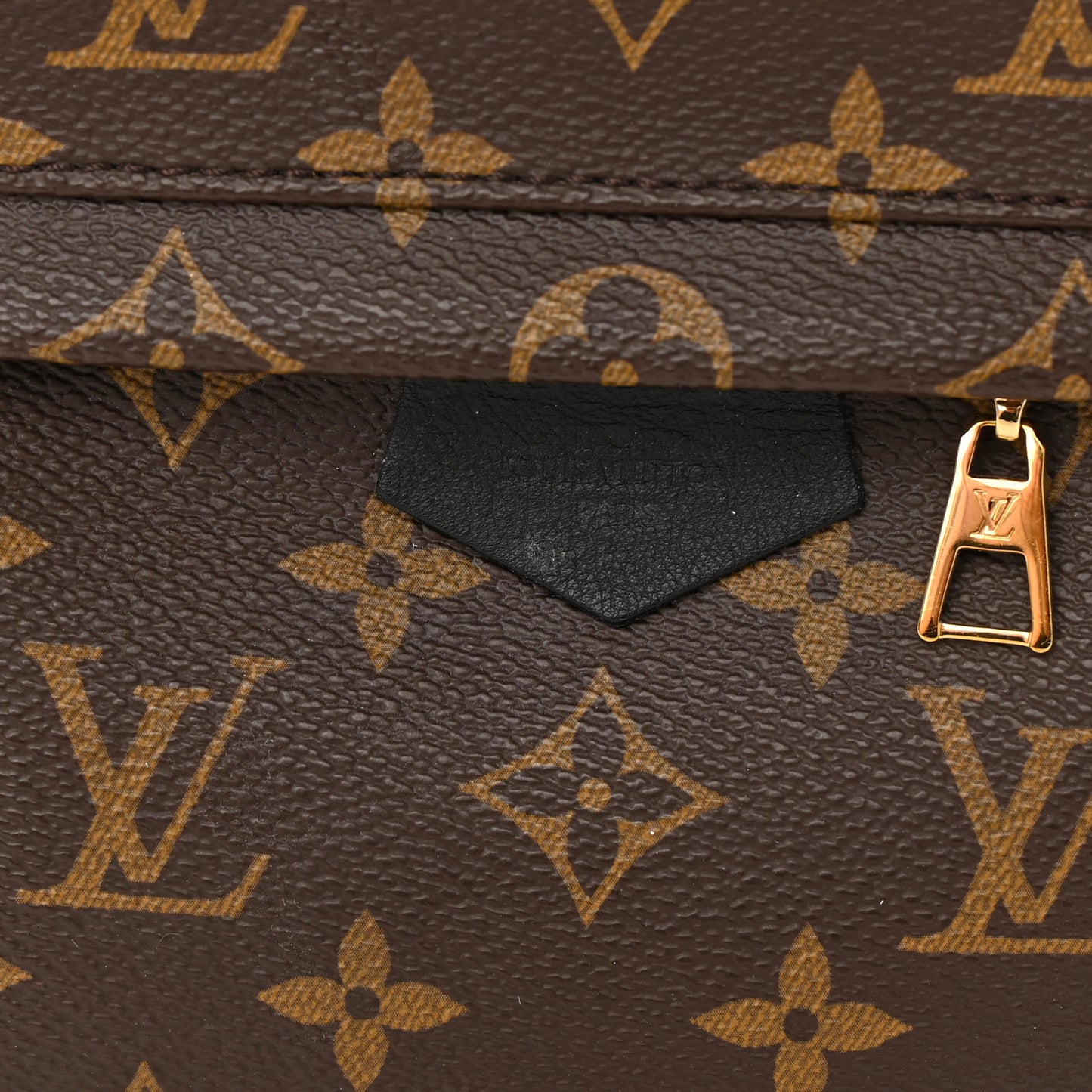 Monogram Palm Springs Backpack PM