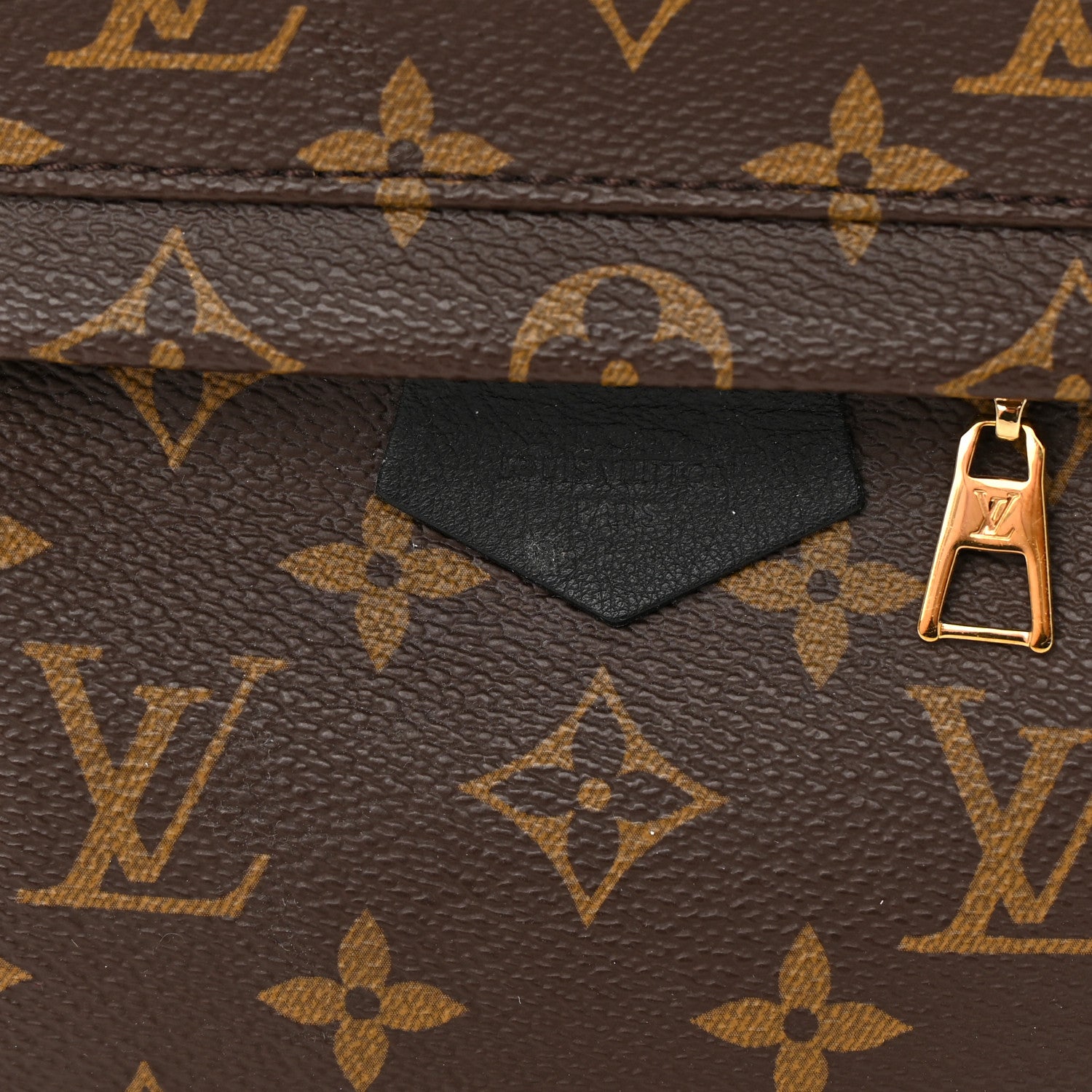 Louis Vuitton Monogram Palm Springs Backpack PM 13 of 13