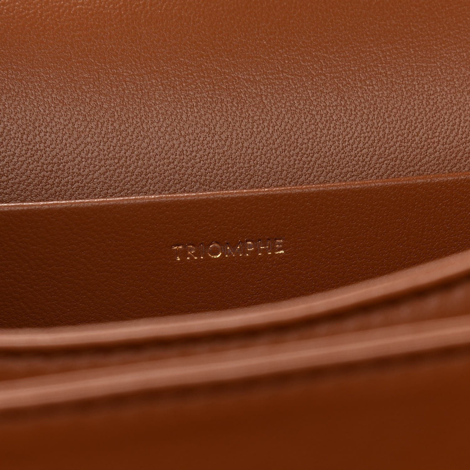 Celine Textile Natural Calfskin Large Triomphe Tan White 6 of 9