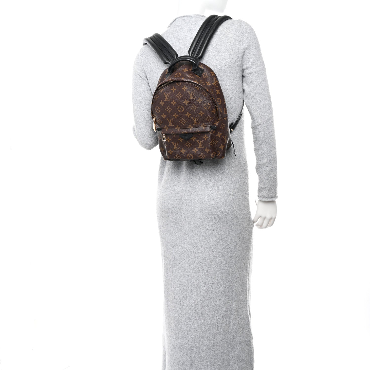 Louis Vuitton Monogram Palm Springs Backpack PM 2 of 12