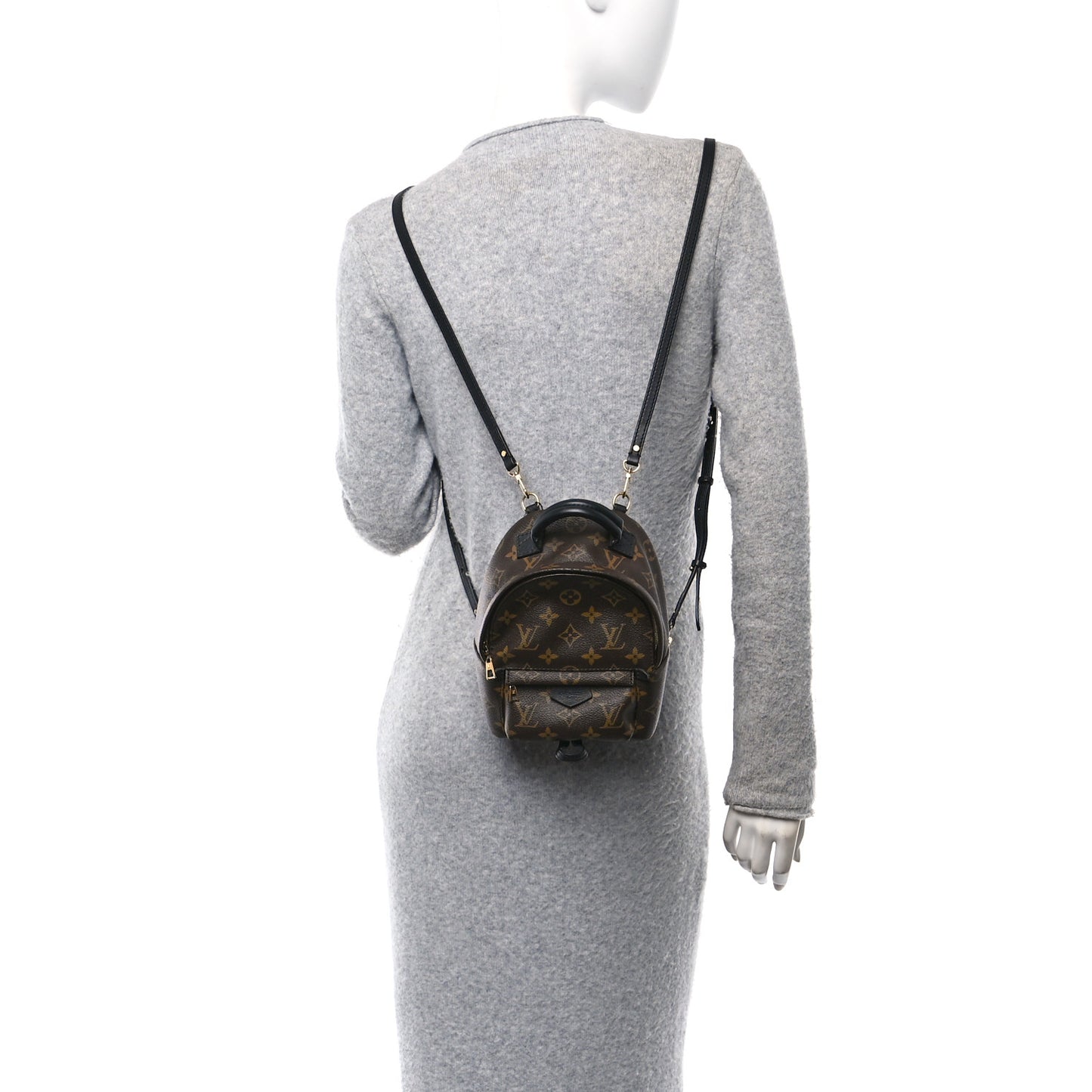 Monogram Palm Springs Backpack Mini