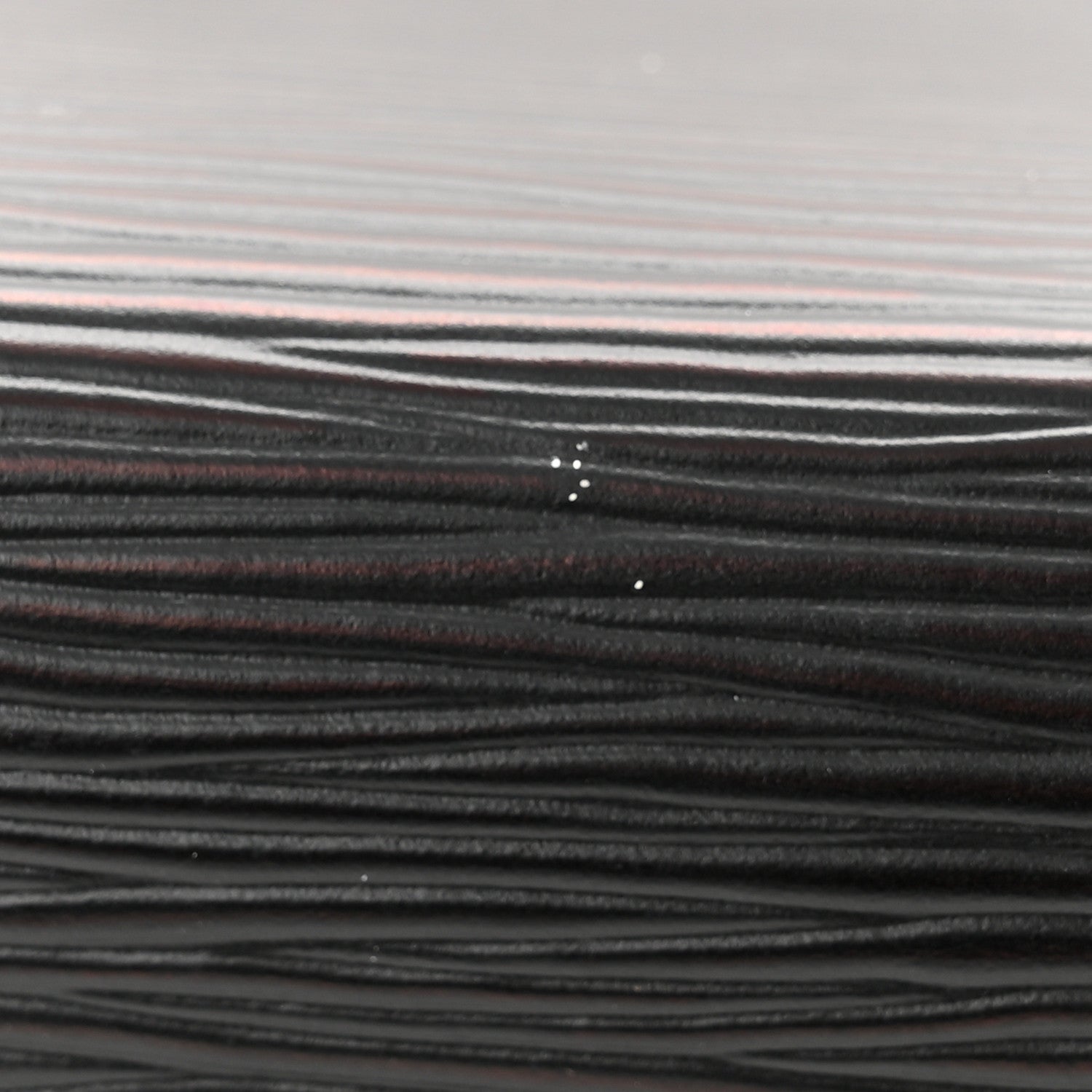 Louis Vuitton Epi Dinard Black 10 of 10