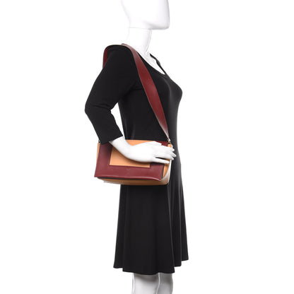 Celine Shiny Smooth Calfskin Medium Frame Shoulder Bag Ruby Nude 2 of 12