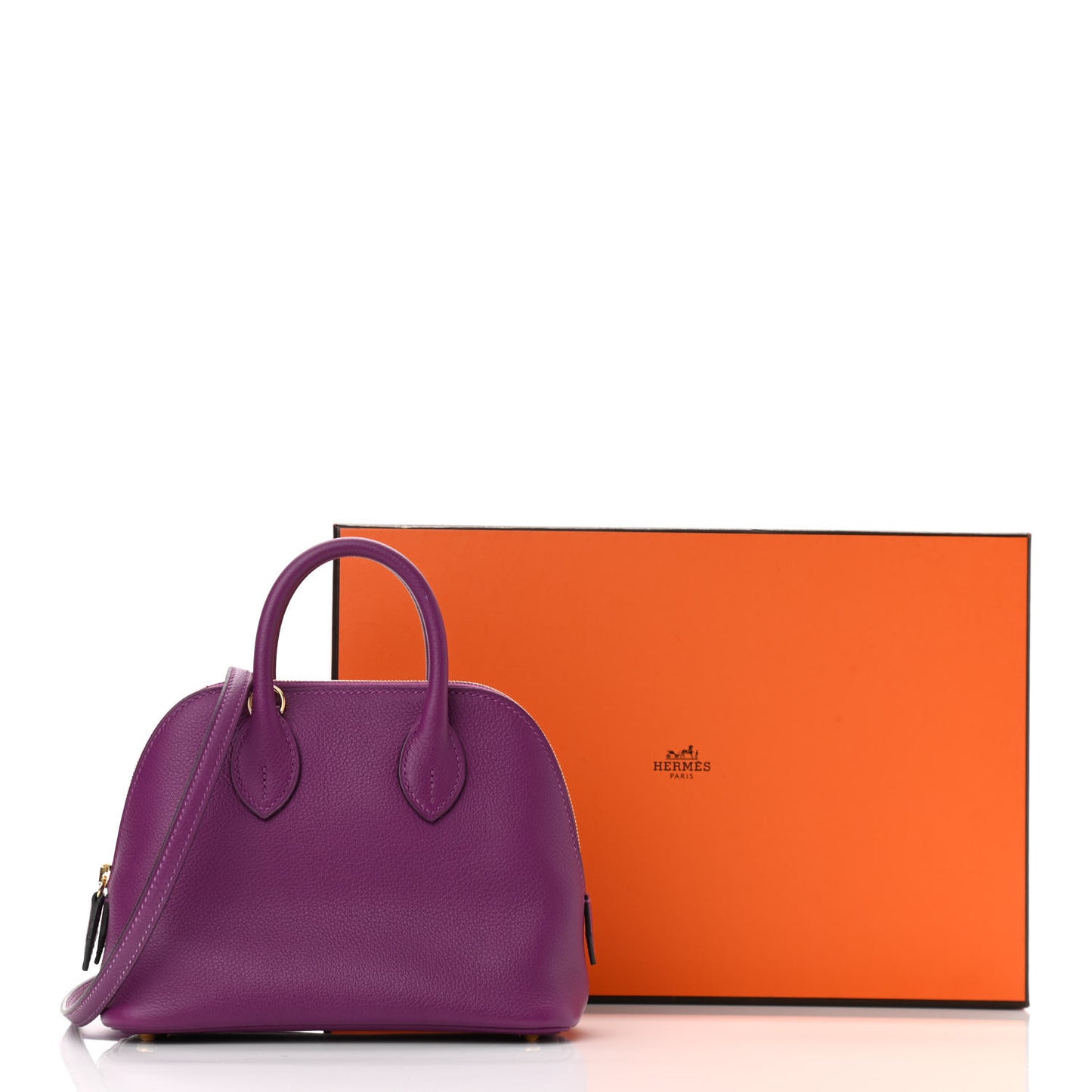 Evercolor Mini 1923 Bolide Anemone