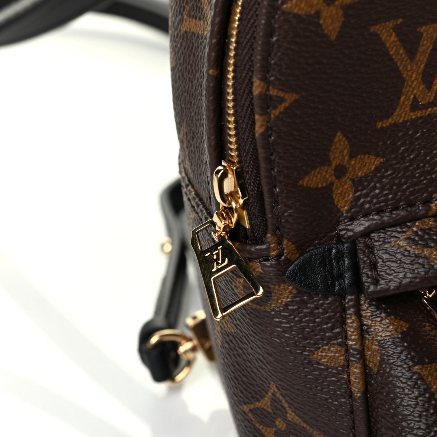 Monogram Palm Springs Backpack Mini