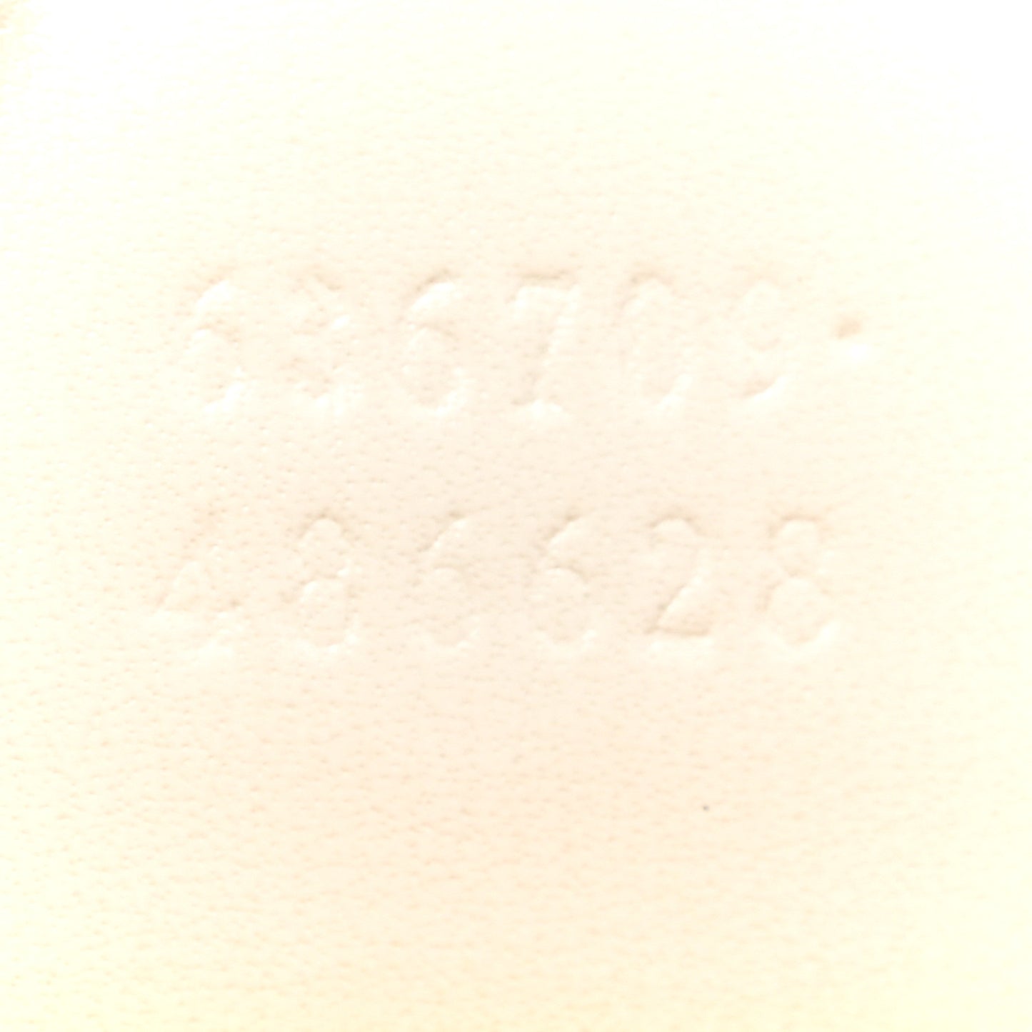 Boarded Dyana Lux Calfskin Small Jackie 1961 Hobo Mystic White