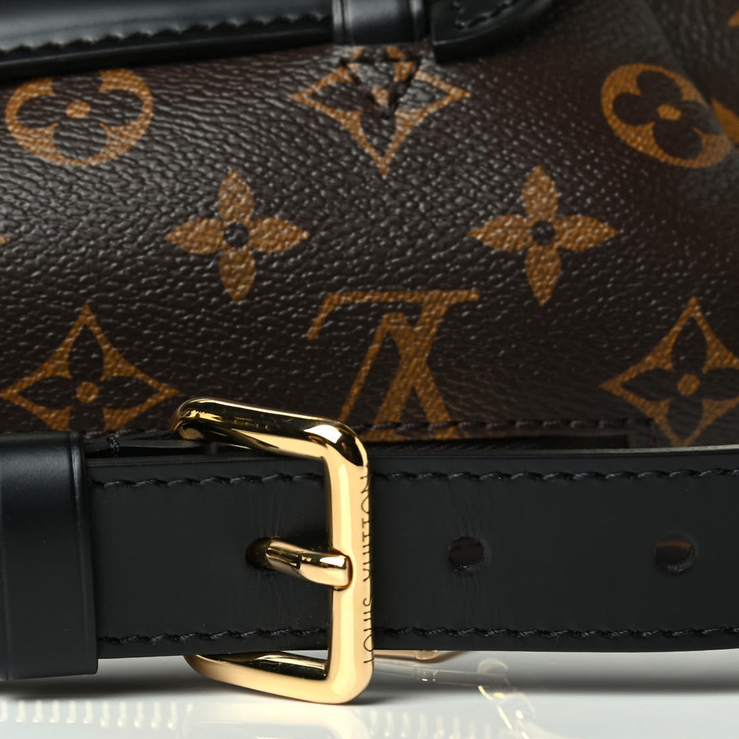 Monogram My LV World Tour Bumbag