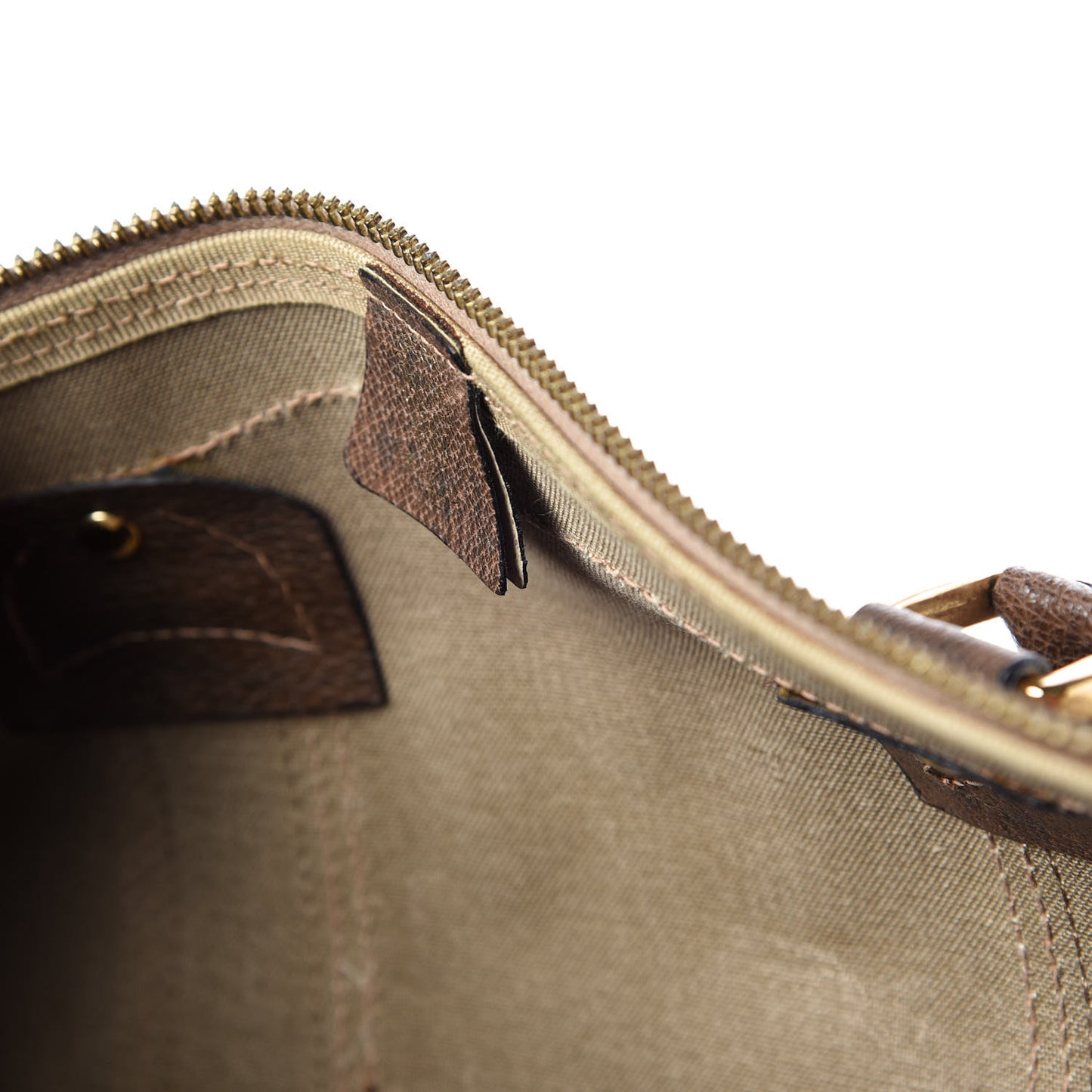 GG Plus Monogram Web Boston Brown