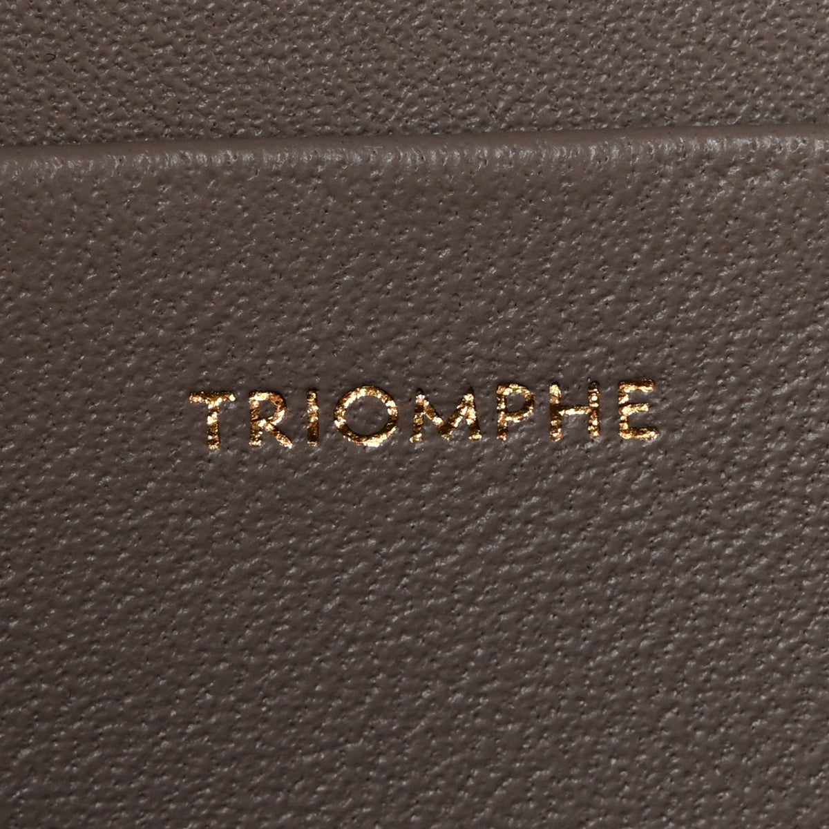 Shiny Calfskin Medium Triomphe Pebble