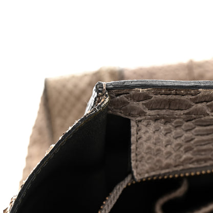 Celine Snakeskin Mini Luggage Grey 11 of 19