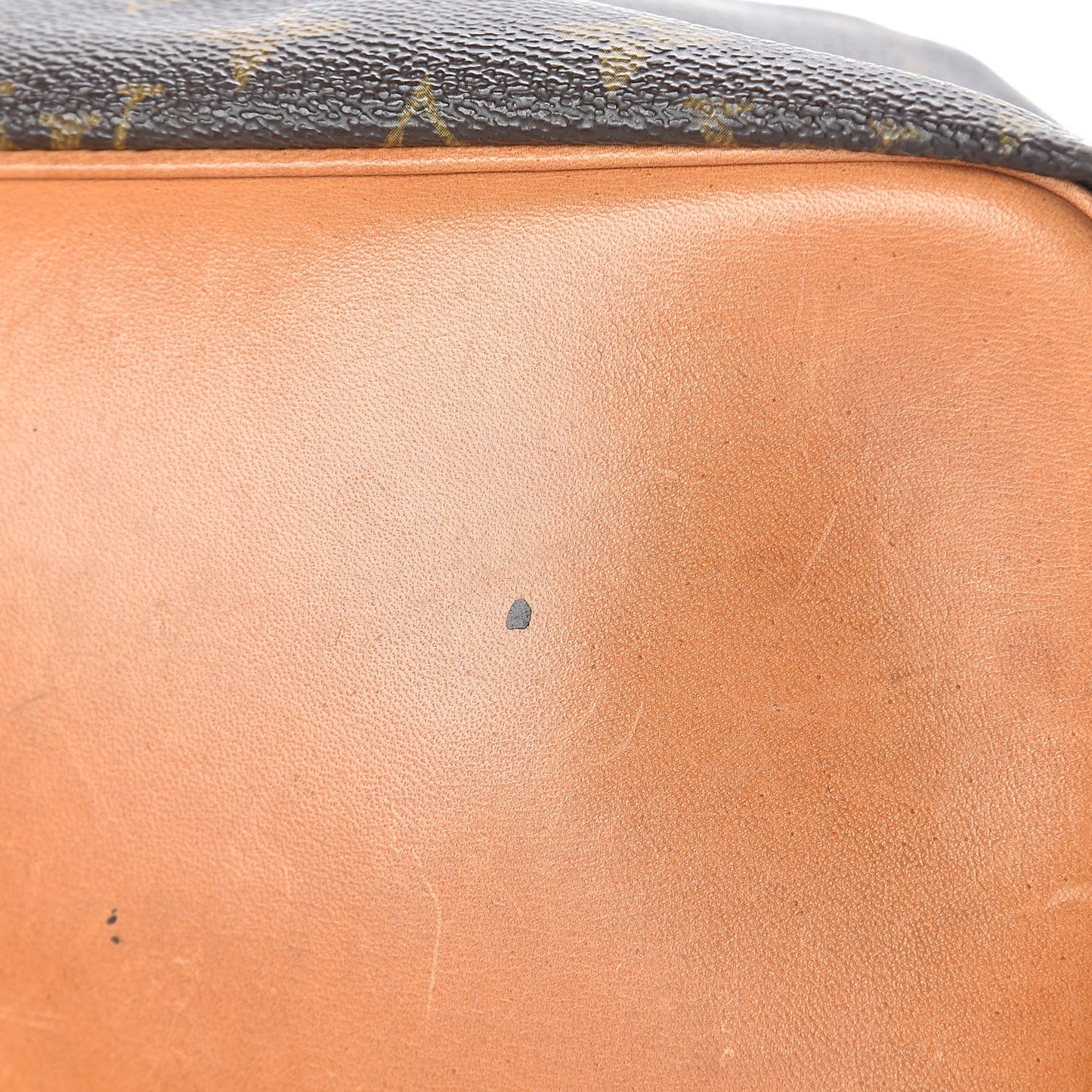 Monogram Petit Noe