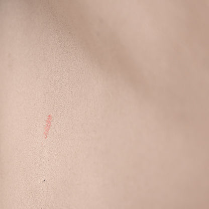 Chanel Caviar Quilted iPad Case Brown 9 of 10