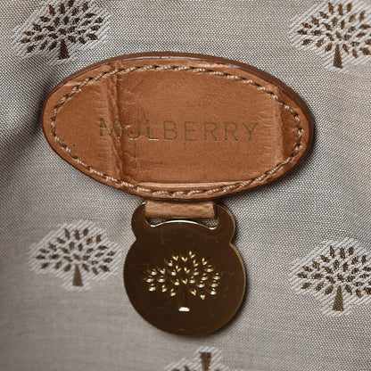 Mulberry Calfskin Embossed Croc Medium Alexa Beige 6 of 11