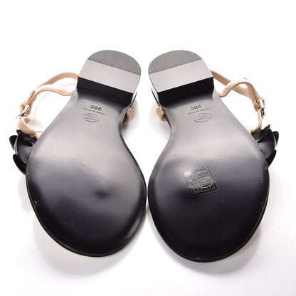 Chanel Lambskin Camellia Thong Sandals 38 Beige Black 5 of 7