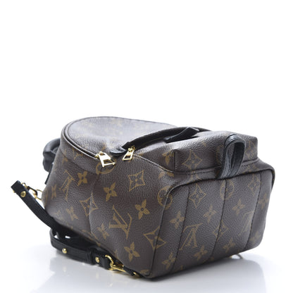 Louis Vuitton Monogram Palm Springs Backpack Mini 3 of 12