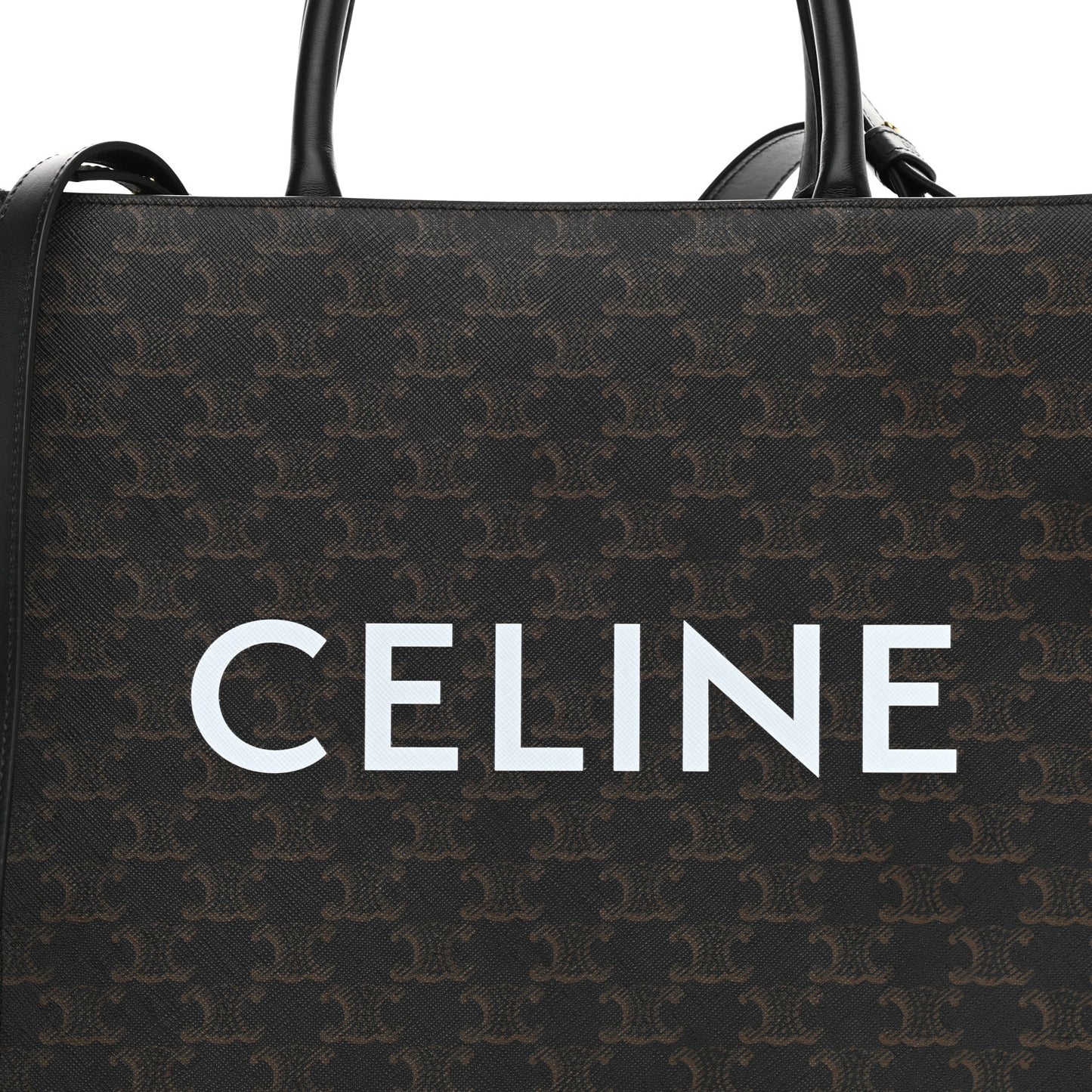 Triomphe Canvas Calfskin Medium Vertical Cabas Black