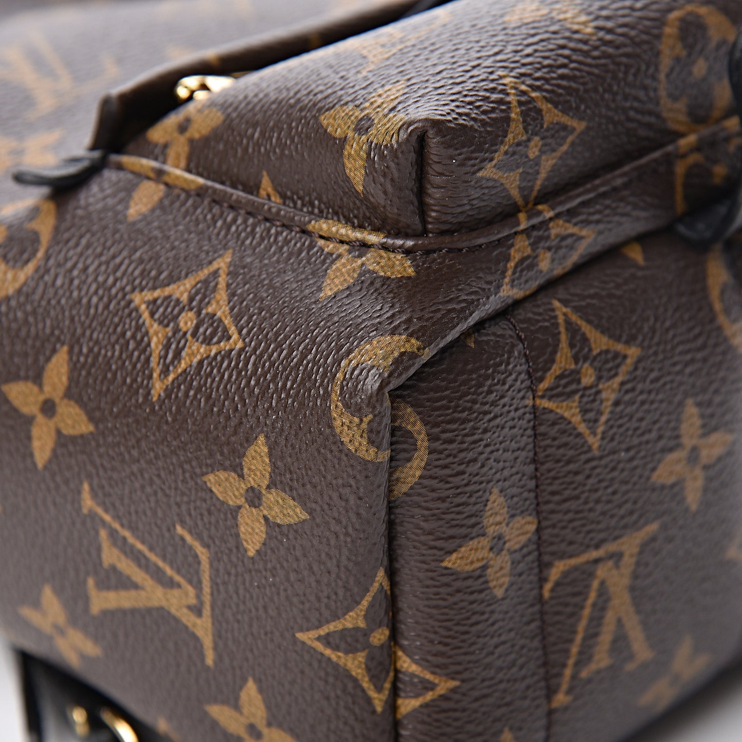 Monogram Palm Springs Backpack Mini