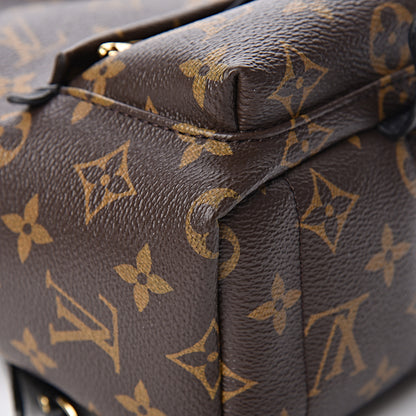 Louis Vuitton Monogram Palm Springs Backpack Mini 11 of 14