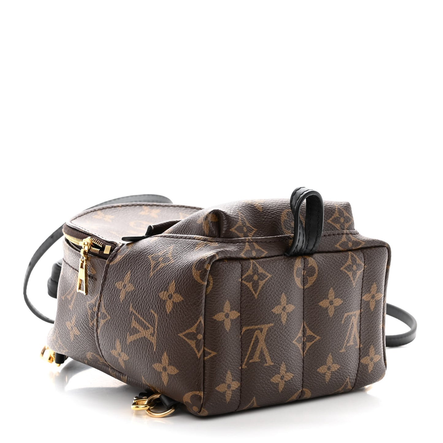 Monogram Palm Springs Backpack Mini