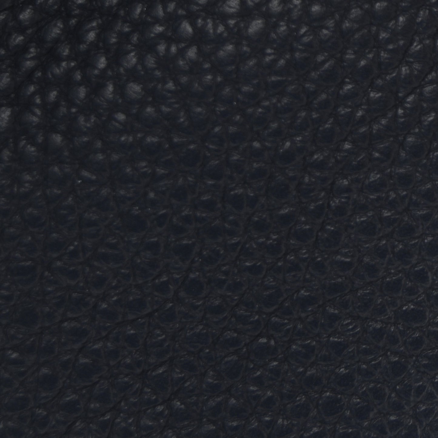 Taurillon Clemence Evelyne TPM Bleu Nuit